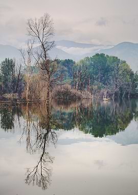 Mammoth paradise Mammoth lake. In this beautiful lake l ...