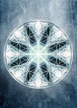 flower of life