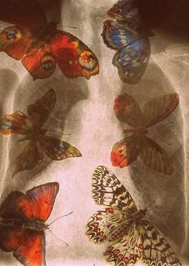 Experiment 3: Mutation