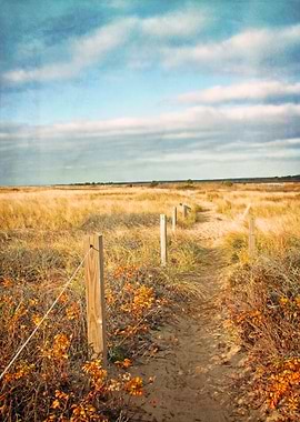 South Cape Beach Trail - Mashpee, Cape Cod, Massachuset ...