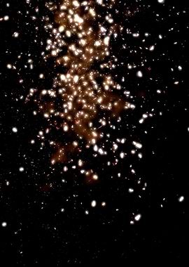 GOLD RAIN or DUST TO DUST