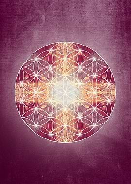flower of life magenta