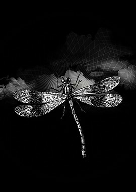DRAGONFLY II