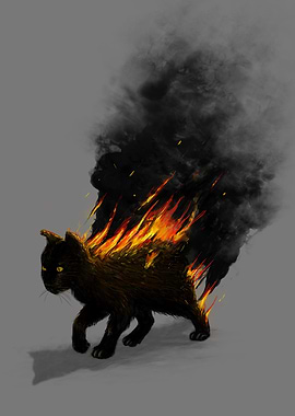 Cat On Fire!