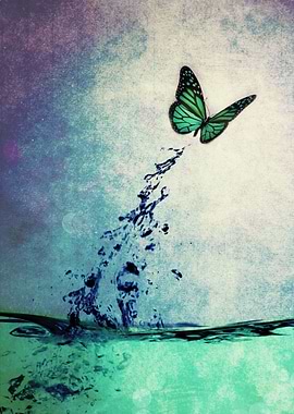 Waterfly I