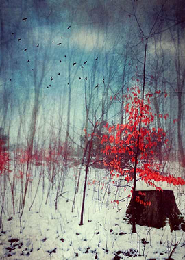 Last leaves on a small tree in a forest winter scenery ...