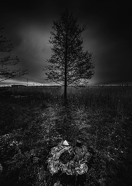 On the wrong side of the lake 3