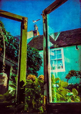 The Open Window