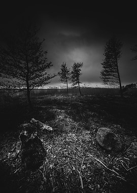 On the wrong side of the lake 10