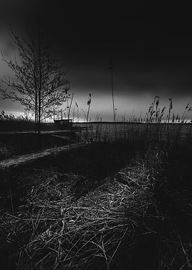 On the wrong side of the lake 11