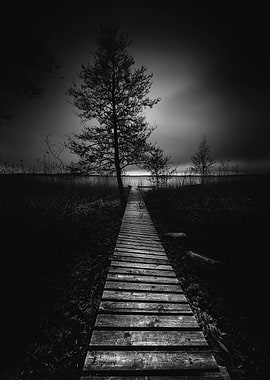 On the wrong side of the lake 9