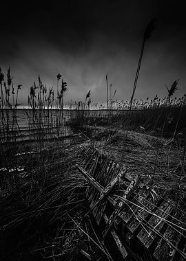 On the wrong side of the lake 12