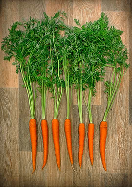 Carrots