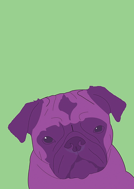 Pop Art Pug