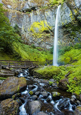 Elowah Falls and Bridge