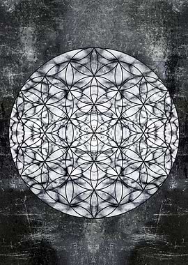 flower of life rocky