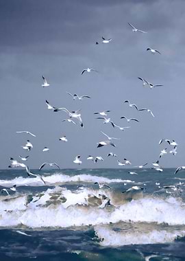 Some kind of peacemaker