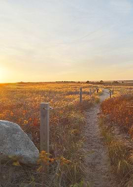 South Cape Beach Trail at Sunset
