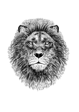 Portrait of a Lion