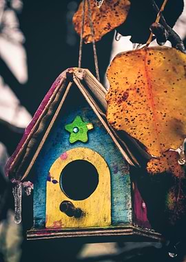 Bird House