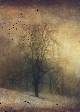 Lone tree in a hazy landscape on a winter afternoon - t ...