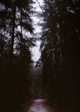 Will you let me pass