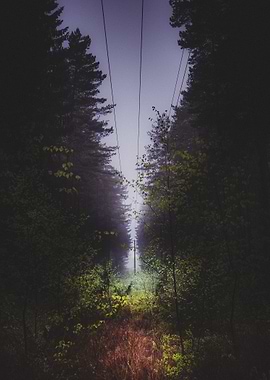 Through the worm hole