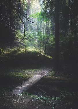 The road back is always the hardest