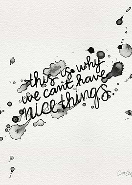 This Is Why We Cant Have Nice Things