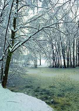 Iced pond