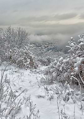 The snow over the city