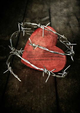 protection of the heart