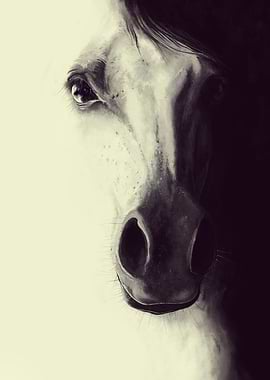 Come to me my dream - Digital horse illustration