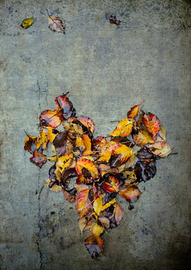 Wet, dead autumn leaves wet from the rain, shaped into ...