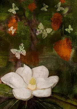 My photography of a pure white Magnolia flower made pai ...