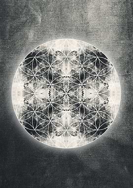 flower of life s