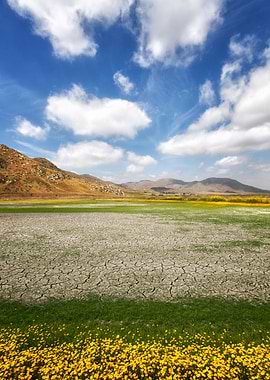 Taken in springtime at the start of the wildflower seas ...