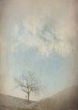 Lonely Tree in Winter Sky