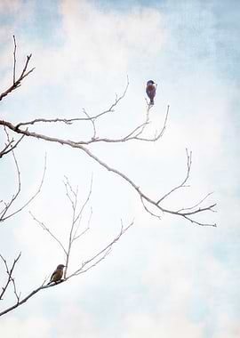 Painterly bluebirds perched on bare tree branches in wi ...