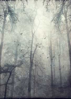 twisted trees - texturized photograph