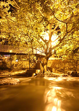 Rio Cuale in Puerto Vallarta