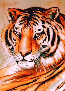 The Tiger at Rest