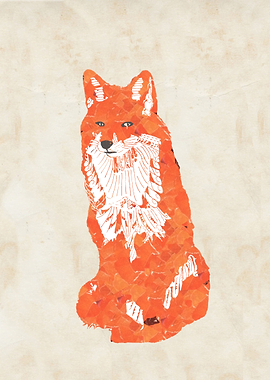 Red Fox