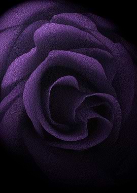 Textured Lilac Rose