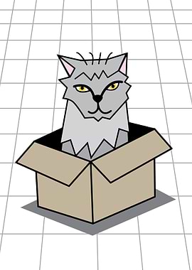 Cat in a Box