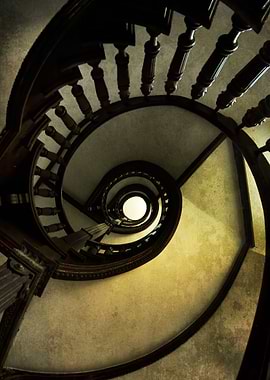 Spirals in yellow and brown