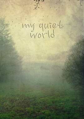 Misty meadow on a summer morning - texturized photograp ...