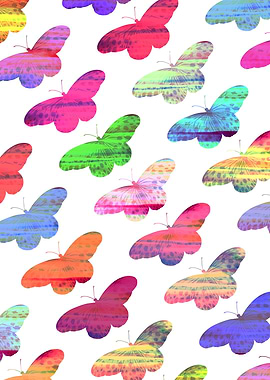 Colourful Butterflies