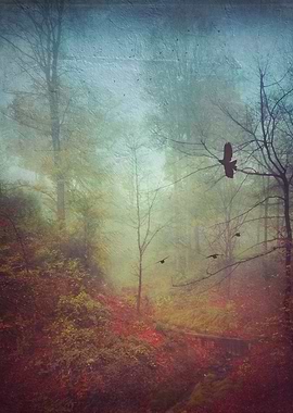 Misty November morning