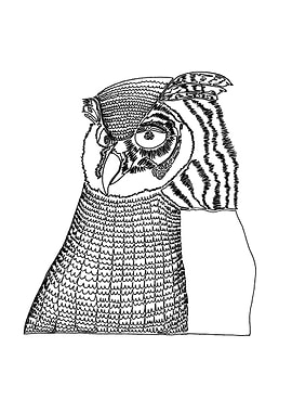 Owl. Drawn with one line. 'Owls never remember who you ...